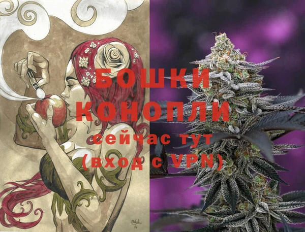 молекула духа Аркадак