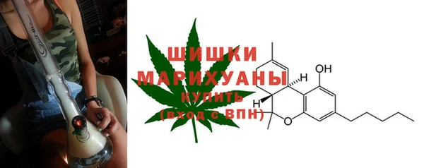 трава Арсеньев