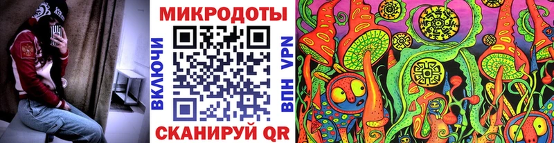 Псилоцибиновые грибы Psilocybine cubensis Солигалич
