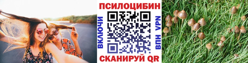 Галлюциногенные грибы MAGIC MUSHROOMS  Солигалич 