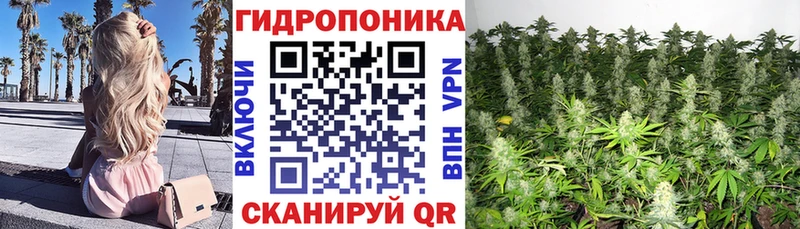 Бошки марихуана AK-47  Солигалич 